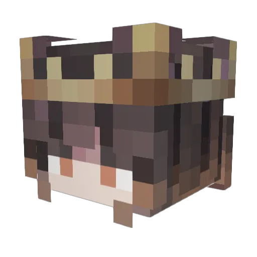 90876 Minecraft avatar head, 3D render