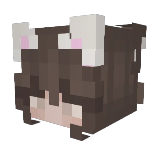 909jesse Minecraft avatar head, 3D render