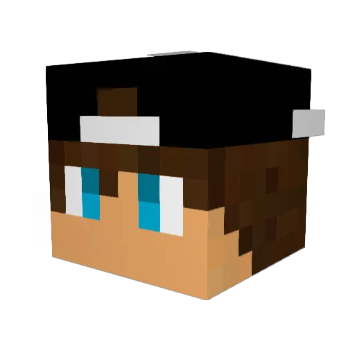 90tom84 Minecraft avatar head, 3D render