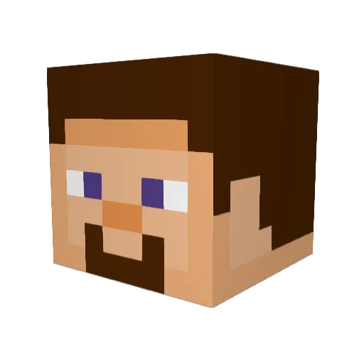911WasNotPoggers Minecraft avatar head, 3D render