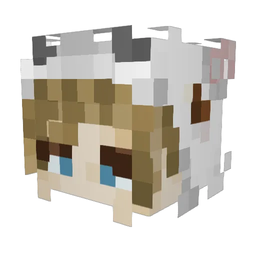 916fps Minecraft avatar head, 3D render