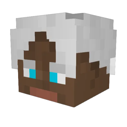 91sd666 Minecraft avatar head, 3D render