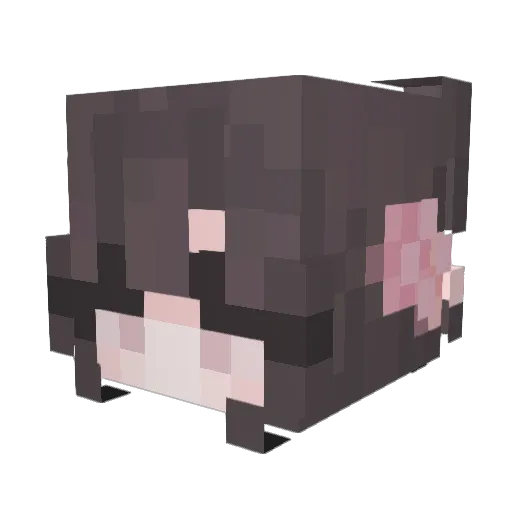 91y Minecraft avatar head, 3D render