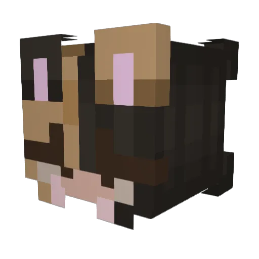 940746 Minecraft avatar head, 3D render