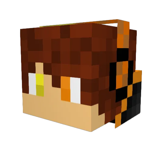 95BLACKFIRE95 Minecraft avatar head, 3D render