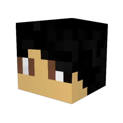 95sol Minecraft avatar head, 3D render