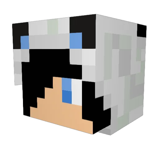 96656837465728 Minecraft avatar head, 3D render