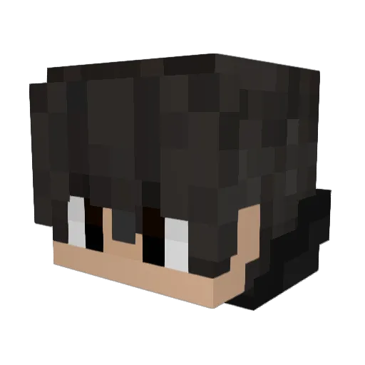 96chette Minecraft avatar head, 3D render