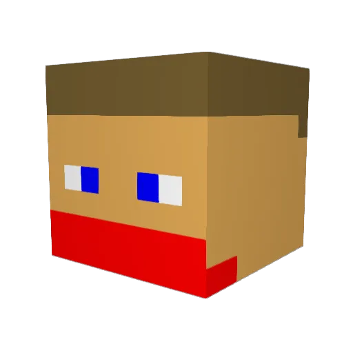 981Lions Minecraft avatar head, 3D render