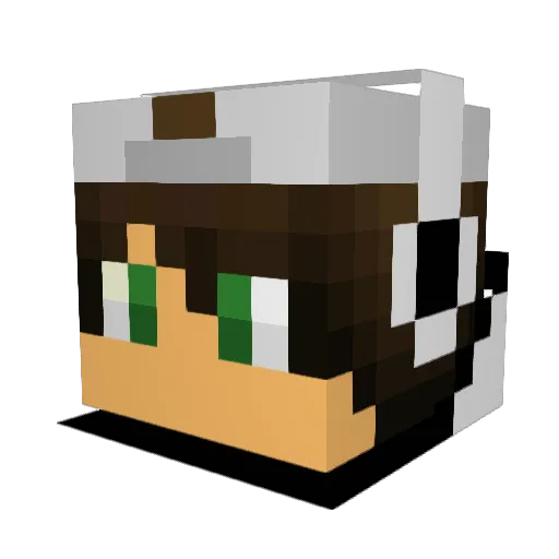 999Nexis Minecraft avatar head, 3D render