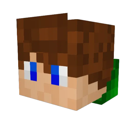 999_Ttime Minecraft avatar head, 3D render