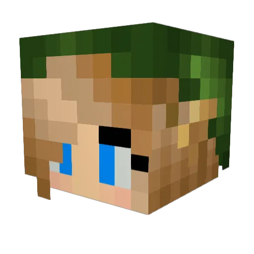 99Tammy99 Minecraft avatar head, 3D render