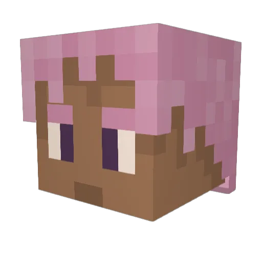 9Altair9 Minecraft avatar head, 3D render