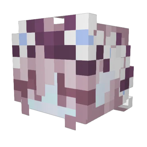 9CrunchCrispy Minecraft avatar head, 3D render