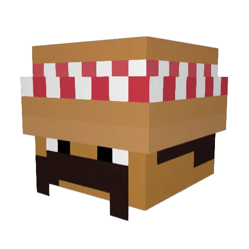 9FIFI11 Minecraft avatar head, 3D render