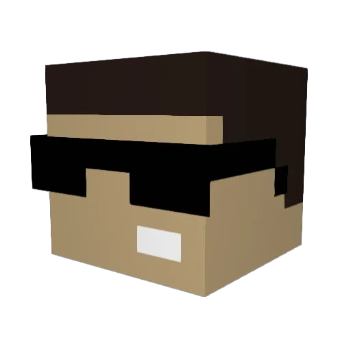 9JOHN9 Minecraft avatar head, 3D render