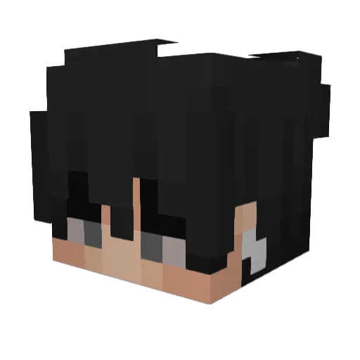 9KARMA9 Minecraft avatar head, 3D render