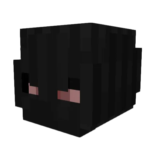 9Knela Minecraft avatar head, 3D render