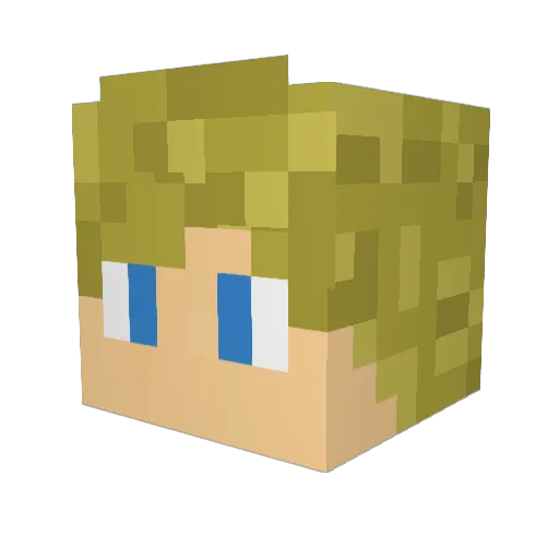 9Lores Minecraft avatar head, 3D render