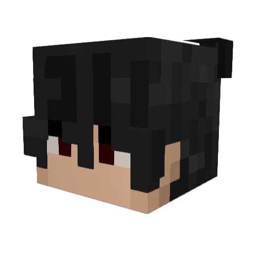 9RHC Minecraft avatar head, 3D render