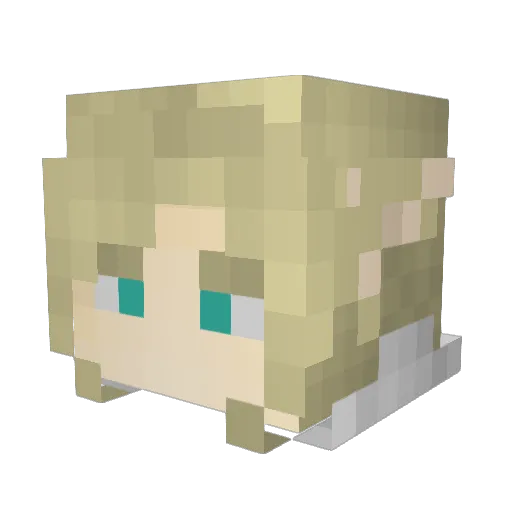9Til5Wizard Minecraft avatar head, 3D render