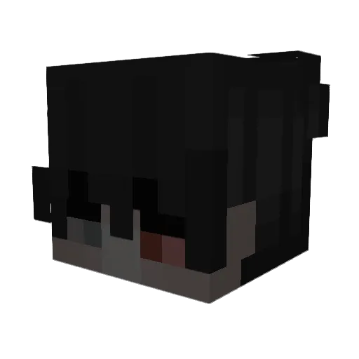 9Unlimited Minecraft avatar head, 3D render