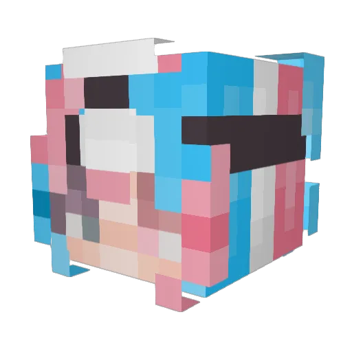 9YN Minecraft avatar head, 3D render