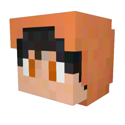 9_HAMSTER_ Minecraft avatar head, 3D render