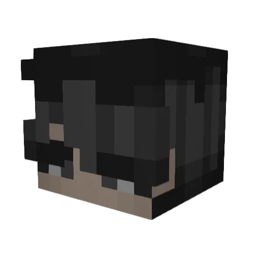 9_Just_Me_9 Minecraft avatar head, 3D render