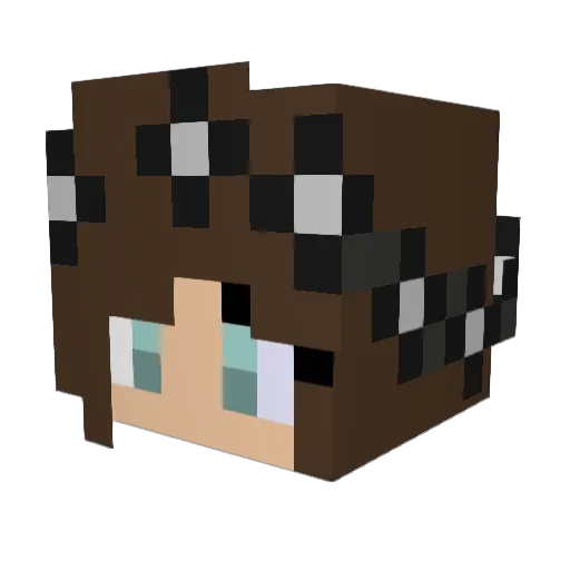 9__1 Minecraft avatar head, 3D render