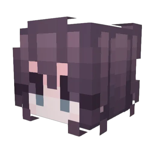 9_life Minecraft avatar head, 3D render