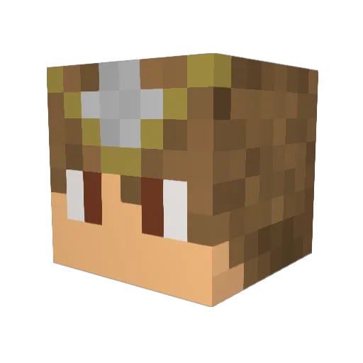 9akani Minecraft avatar head, 3D render