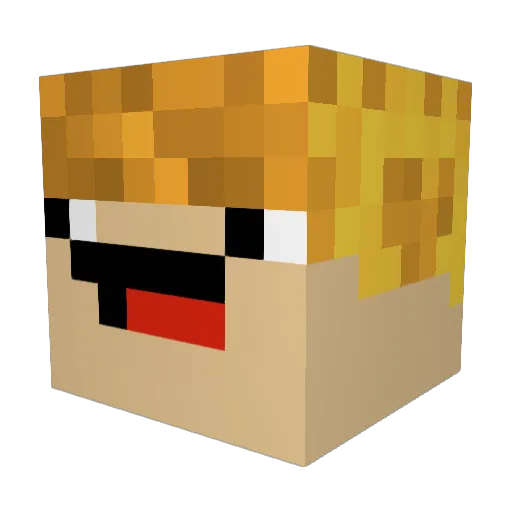 9bj Minecraft avatar head, 3D render