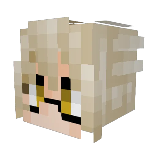 9chaN9 Minecraft avatar head, 3D render