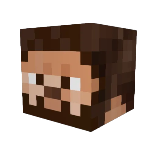 9csh9 Minecraft avatar head, 3D render