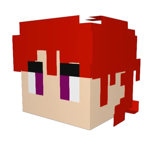 9eid Minecraft avatar head, 3D render
