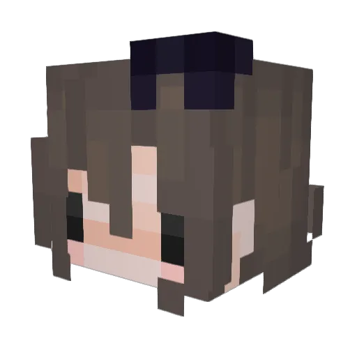 9endd Minecraft avatar head, 3D render