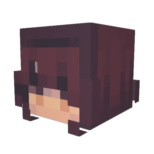 9ieq Minecraft avatar head, 3D render