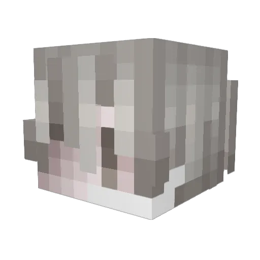 9iil Minecraft avatar head, 3D render