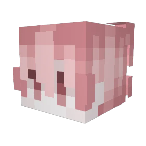 9jean Minecraft avatar head, 3D render