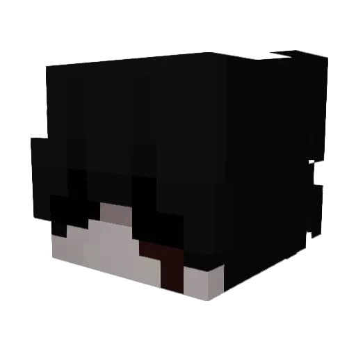9jk Minecraft avatar head, 3D render