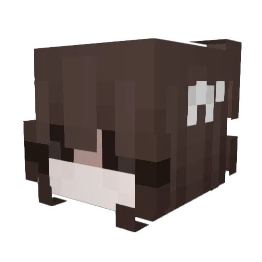 9lap Minecraft avatar head, 3D render