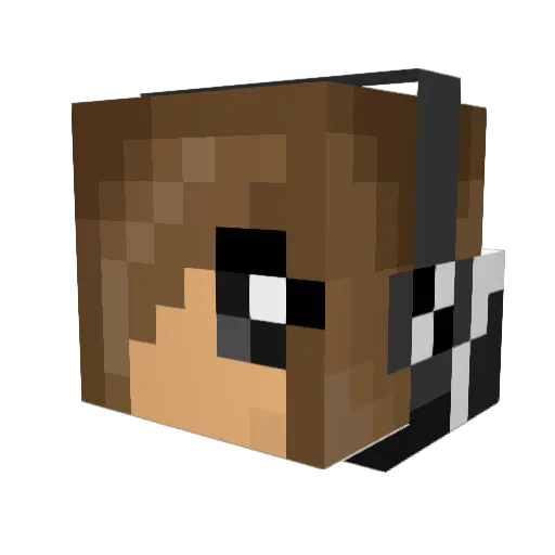 9lara9 Minecraft avatar head, 3D render
