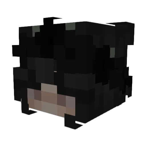 9lwa Minecraft avatar head, 3D render