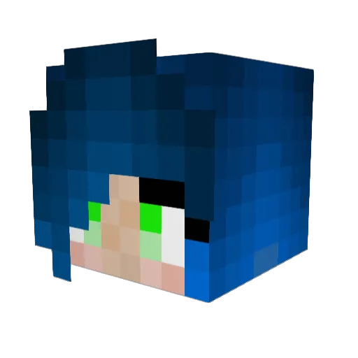 9marty3 Minecraft avatar head, 3D render