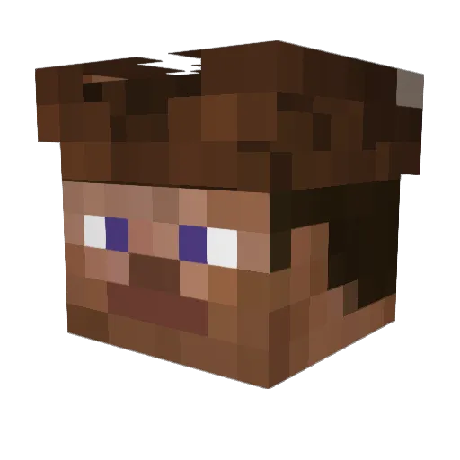 9na5 Minecraft avatar head, 3D render