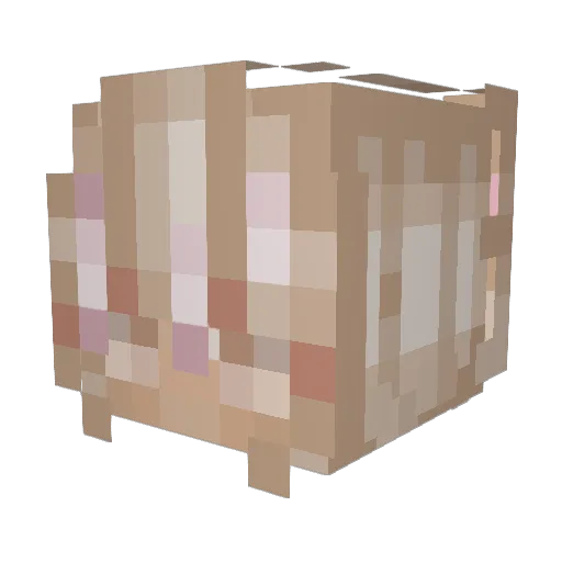 9nfs Minecraft avatar head, 3D render