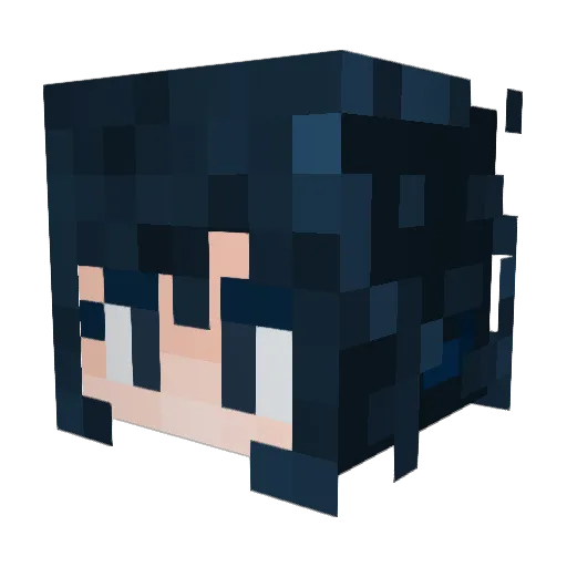 9nugget9 Minecraft avatar head, 3D render