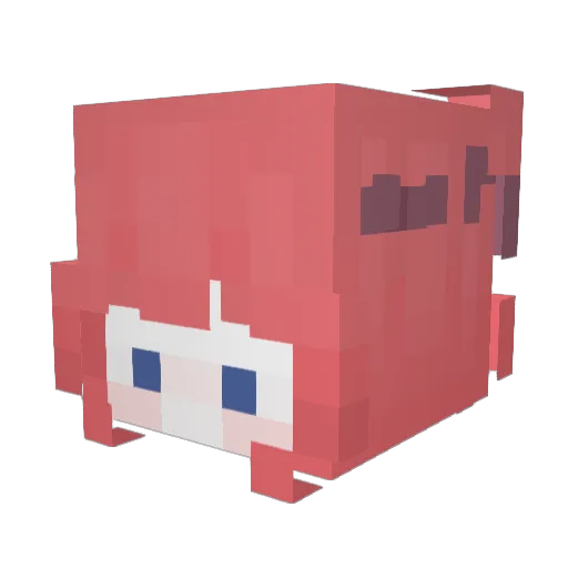 9o9ooma Minecraft avatar head, 3D render