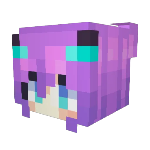 9pon Minecraft avatar head, 3D render